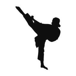 Karate silhouette, Classic style
