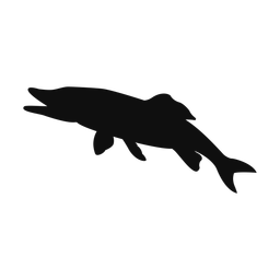 Pike silhouette, Classic style
