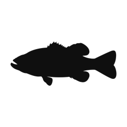 Largemouth bass silhouette, Classic style