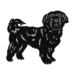 Shih tzu silhouette, Promax style