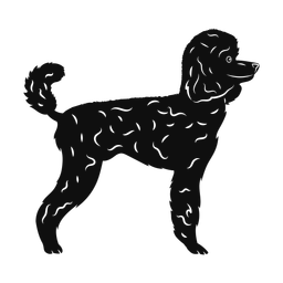 Poodle silhouette, Promax style