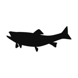 Brook trout silhouette, Classic style