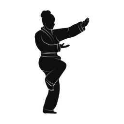Karate silhouette, Promax style