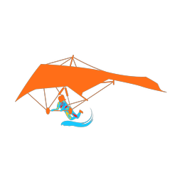 Hang Gliding icon