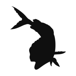 Mahi mahi silhouette, Classic style