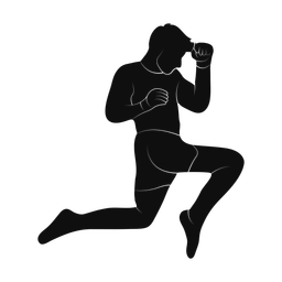Mma silhouette, Promax style