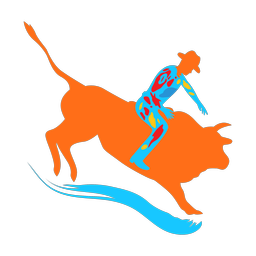 Rodeo icon