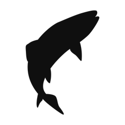 Brook trout silhouette, Classic style