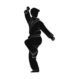 Karate silhouette, Promax style