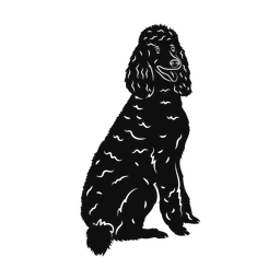 Poodle silhouette, Promax style