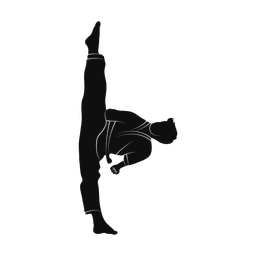 Karate silhouette, Promax style