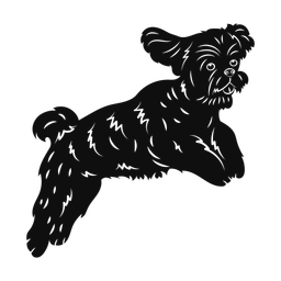 Shih tzu silhouette, Promax style
