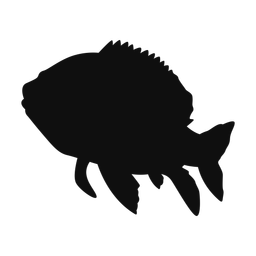 Red snapper silhouette, Classic style