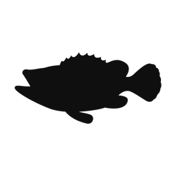 Grouper silhouette, Classic style