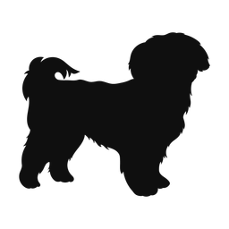 Shih tzu silhouette, Classic style