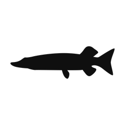 Pike silhouette, Classic style