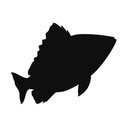 Red snapper silhouette, Classic style