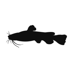 Cat fish silhouette, Classic style