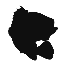 Grouper silhouette, Classic style