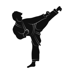 Karate silhouette, Promax style
