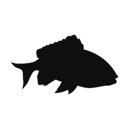 Red snapper silhouette, Classic style