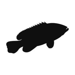 Grouper silhouette, Classic style