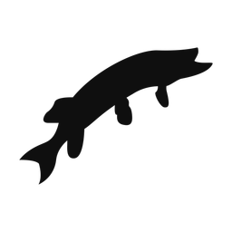 Pike silhouette, Classic style