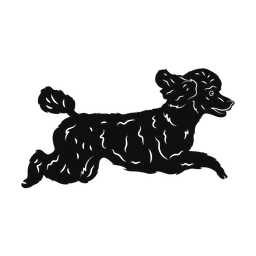 Poodle silhouette, Promax style