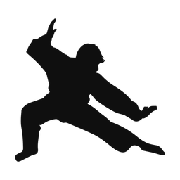 Karate silhouette, Classic style