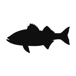 Striped bass silhouette, Classic style